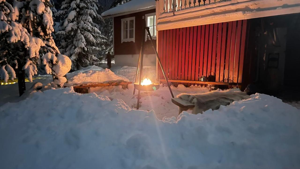 Mountain Cabin Lofsdalen Extérieur photo