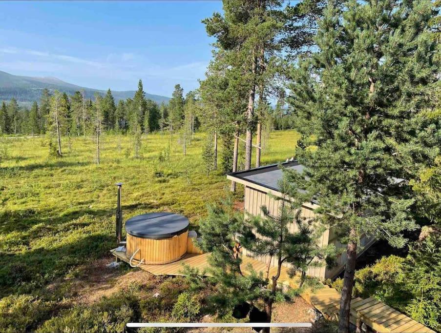Mountain Cabin Lofsdalen Extérieur photo