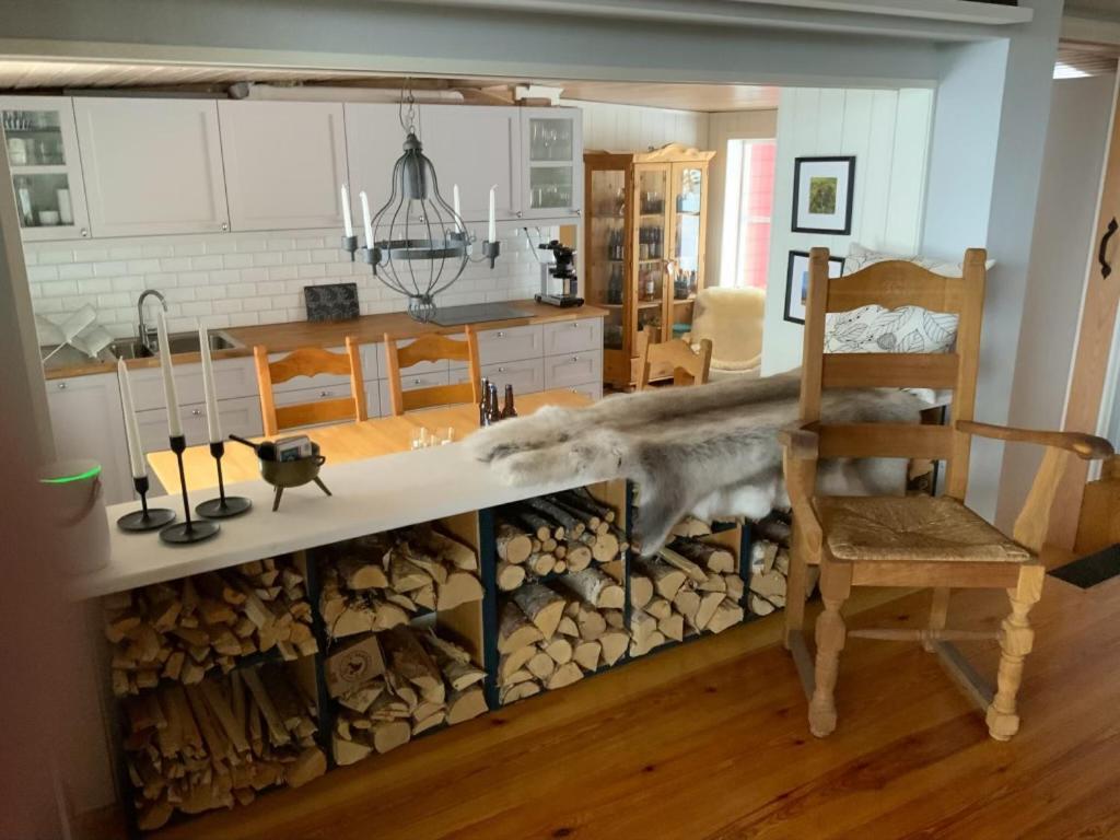 Mountain Cabin Lofsdalen Extérieur photo