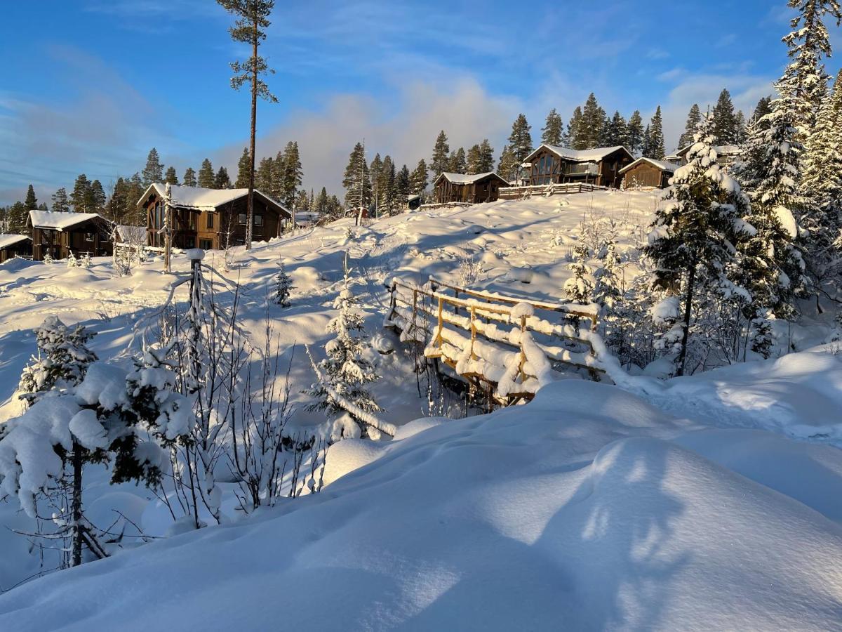 Mountain Cabin Lofsdalen Extérieur photo
