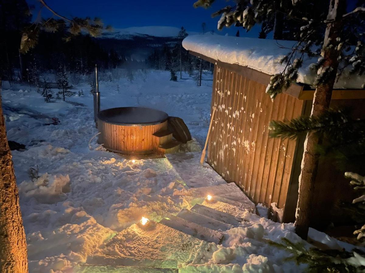 Mountain Cabin Lofsdalen Extérieur photo