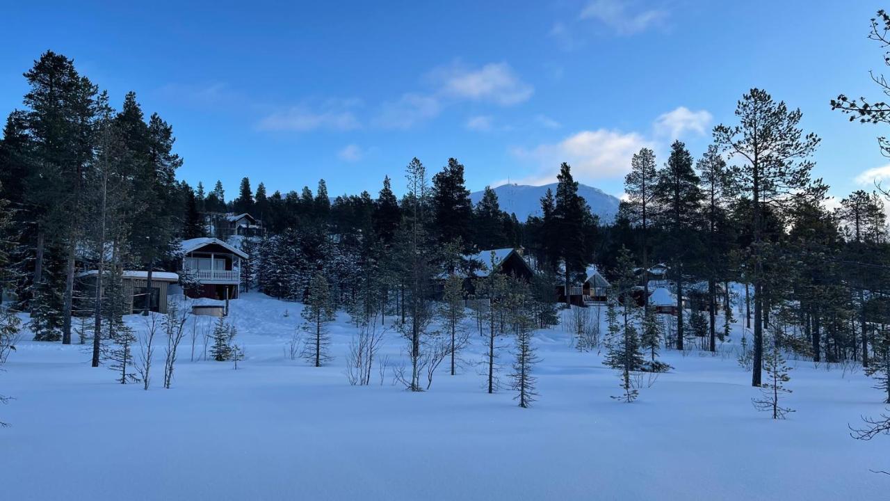 Mountain Cabin Lofsdalen Extérieur photo