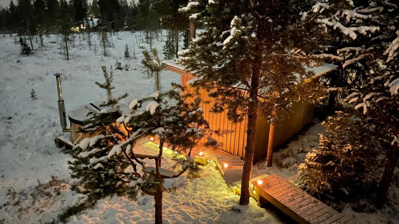 Mountain Cabin Lofsdalen Extérieur photo